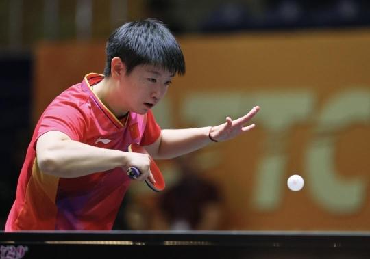 不仅因为它 不仅因为它