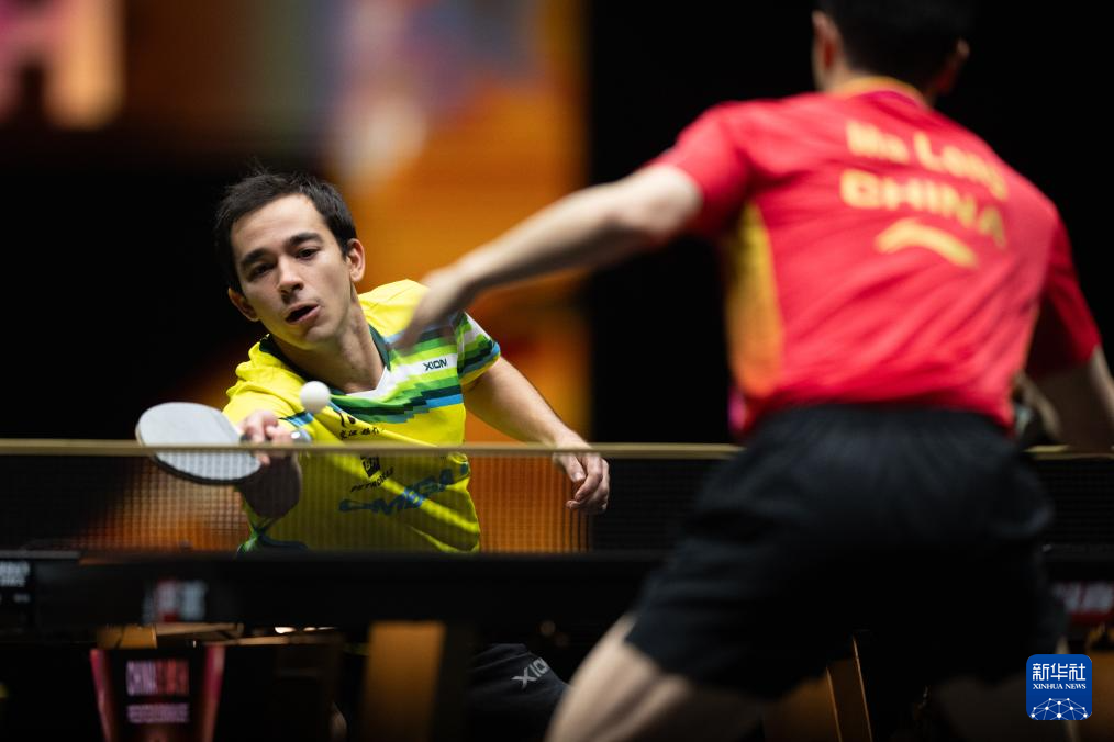 奇后卫杰米 奇后卫杰米